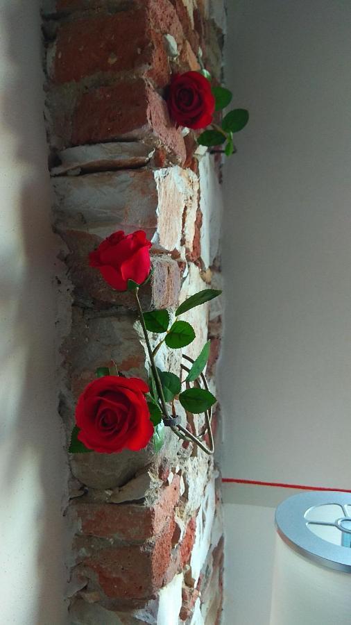 Le Rondini Di San Donato Bed and Breakfast Lucca Exteriör bild