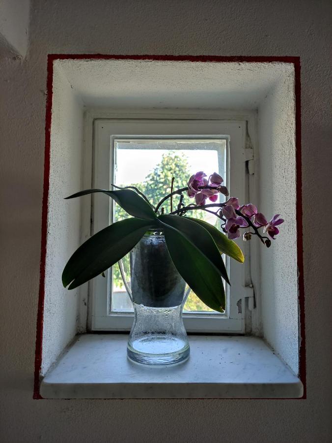 Le Rondini Di San Donato Bed and Breakfast Lucca Exteriör bild