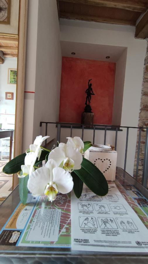 Le Rondini Di San Donato Bed and Breakfast Lucca Exteriör bild